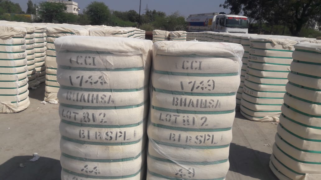cotton bales india