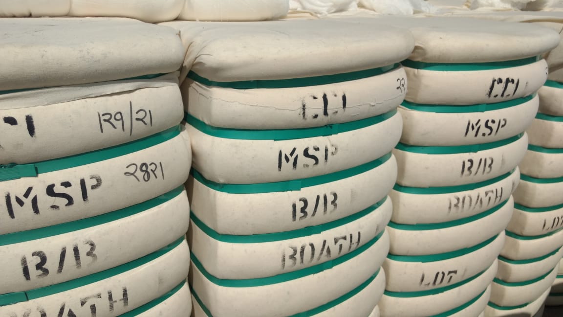 cotton bales india