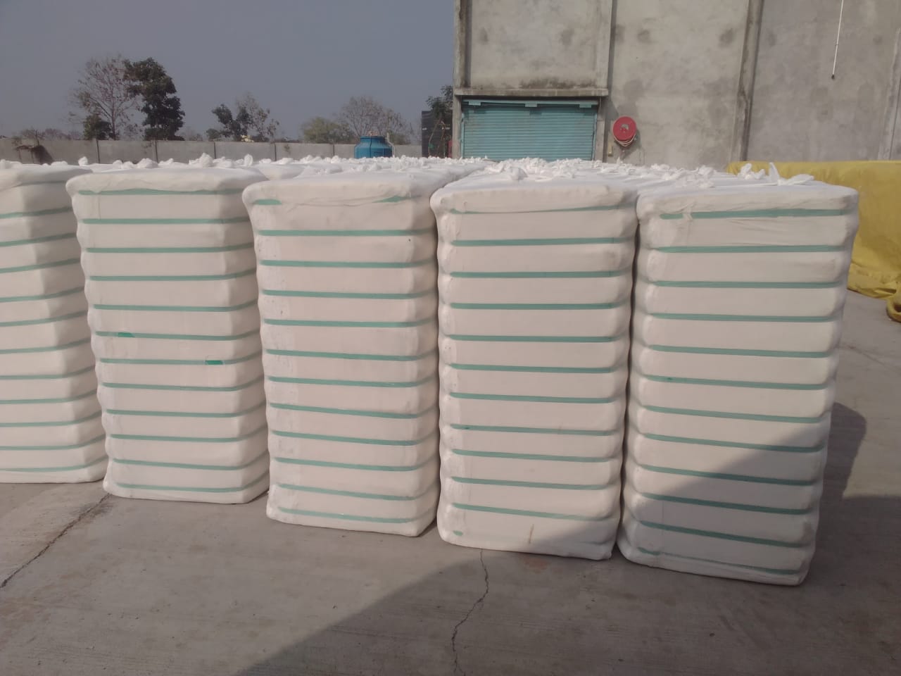 cotton bales gujarat