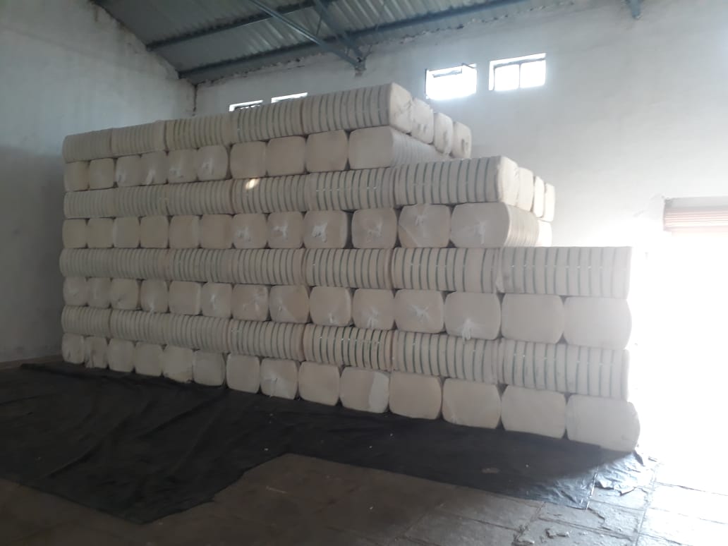 cotton bales haryana