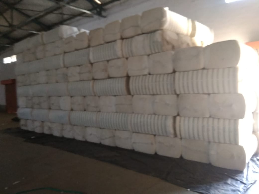 cotton bales maharashtra